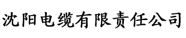 黑森林福利视频导航电缆厂logo